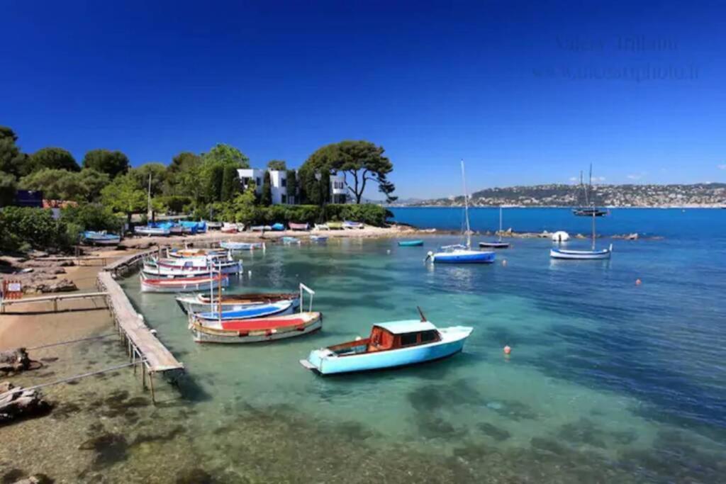 Coeur De Juan, Calme, 300M Plages - Easy Check-In Antibes Exteriör bild